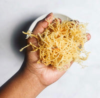 Golden Sea Moss